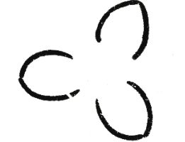 迎春花简笔画