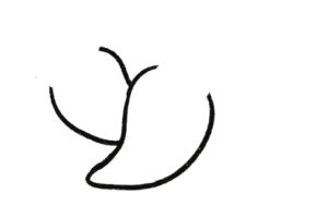 尖椒简笔画