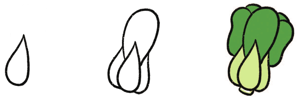 油菜简笔画