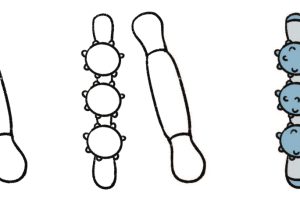 按摩棒简笔画