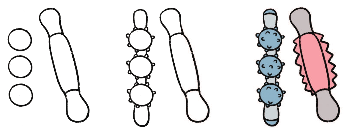 按摩棒简笔画