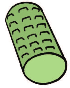 泡沫轴简笔画