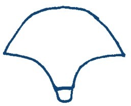 狼简笔画