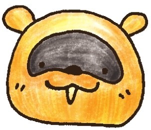 浣熊简笔画