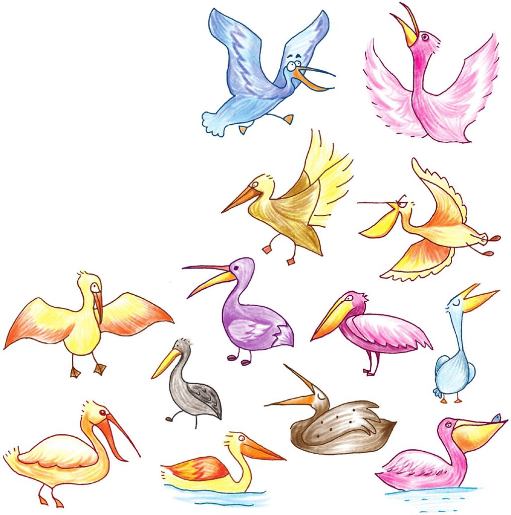 鹈鹕简笔画