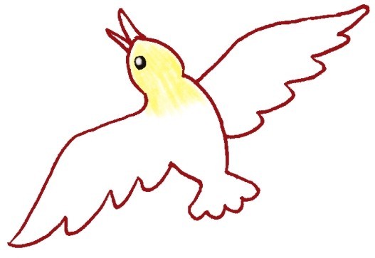 海鸥简笔画