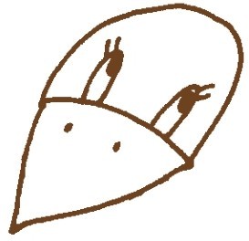 乌鸦简笔画