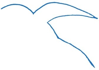 燕子简笔画