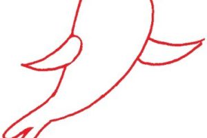 鹦鹉简笔画