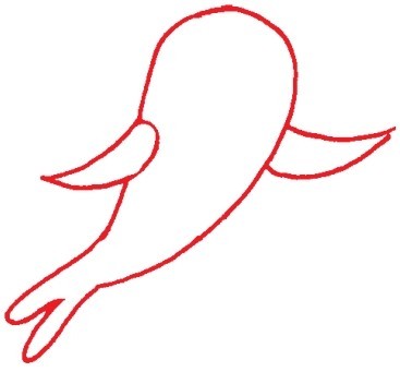 鹦鹉简笔画