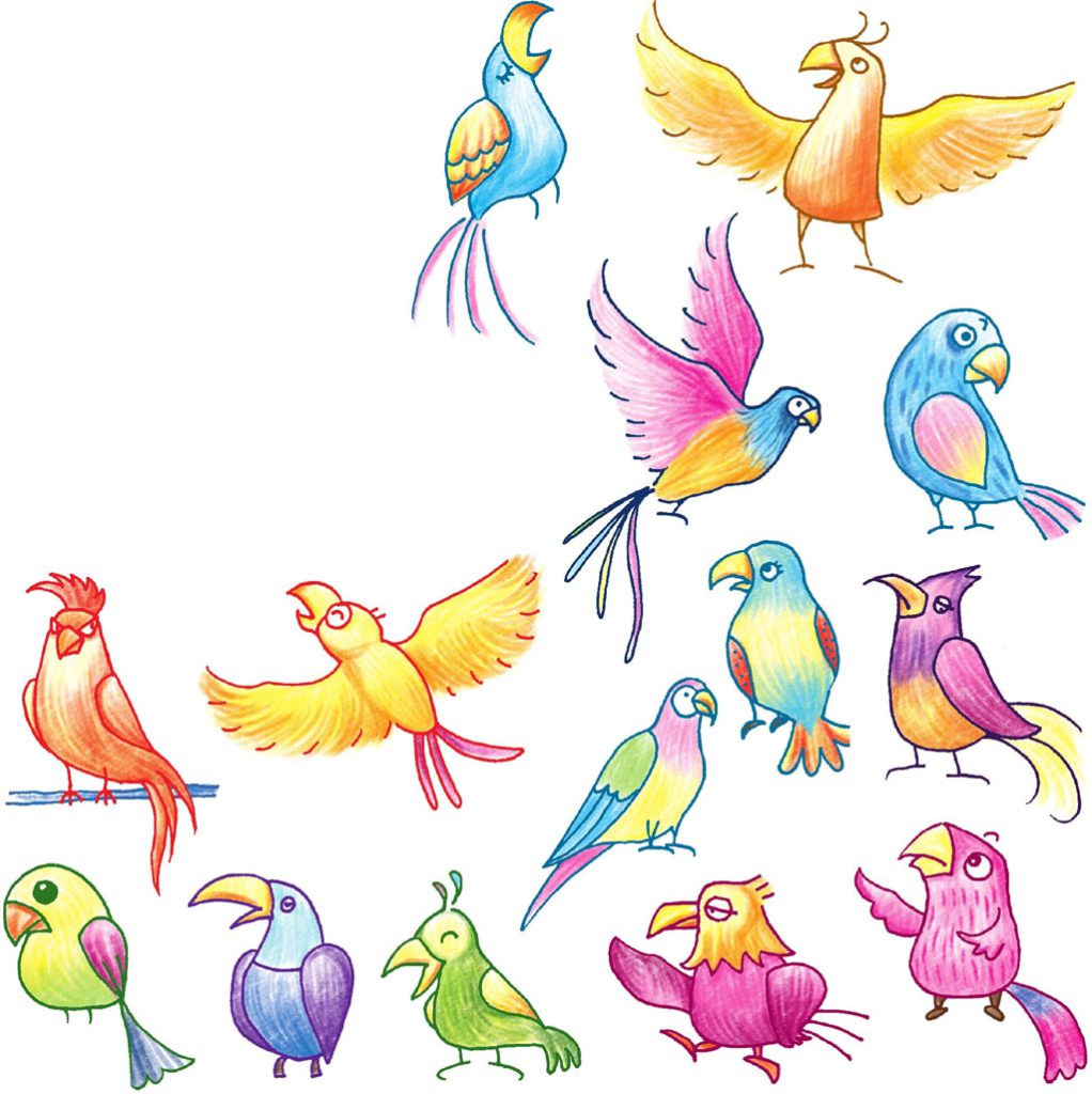 鹦鹉简笔画