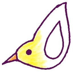 黄鹂简笔画