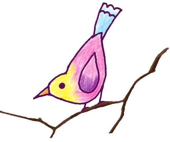 黄鹂简笔画