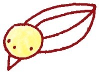 喜鹊简笔画