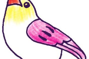 麻雀简笔画