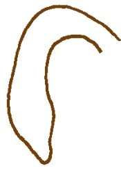 大雁简笔画