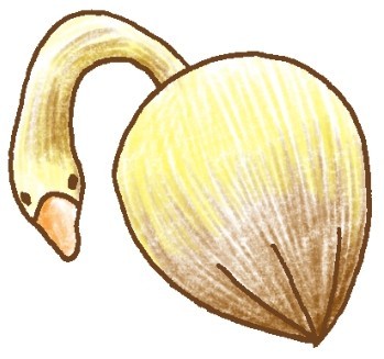 大雁简笔画