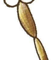 蜻蜓简笔画