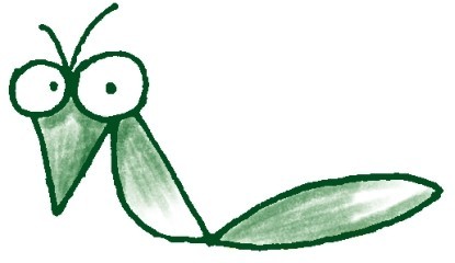 螳螂简笔画