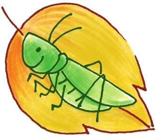 蝈蝈简笔画