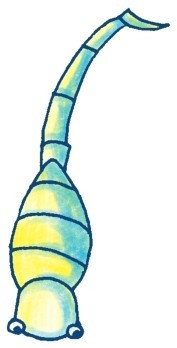 蝎子简笔画