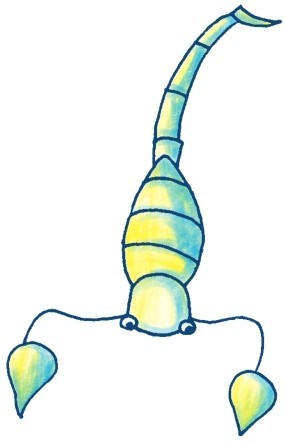 蝎子简笔画