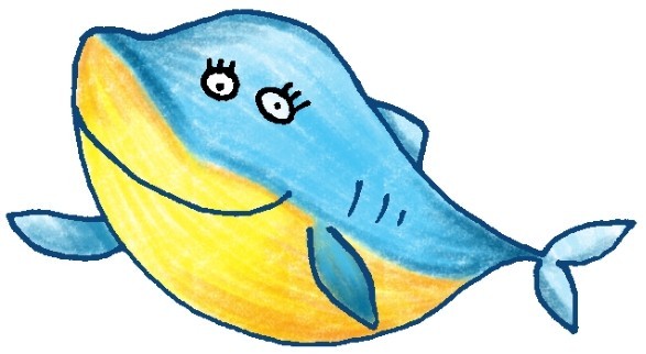 鲨鱼简笔画