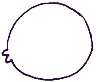 小丑鱼简笔画