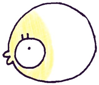 小丑鱼简笔画