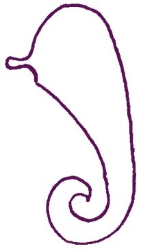 海马简笔画