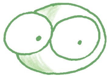 蝌蚪简笔画