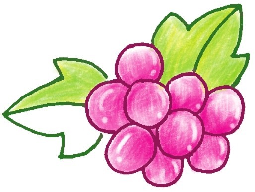 葡萄简笔画