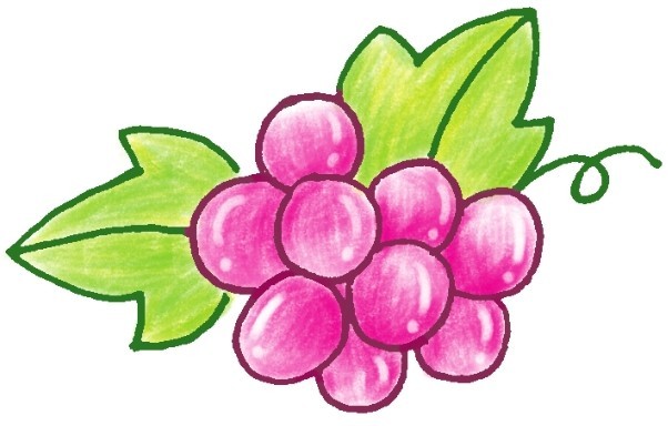 葡萄简笔画