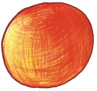 橙子简笔画