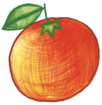橙子简笔画