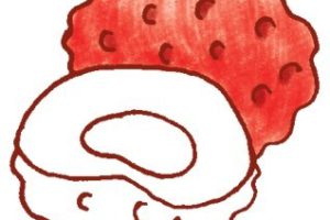 荔枝简笔画