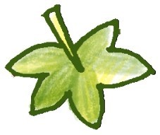 草莓简笔画