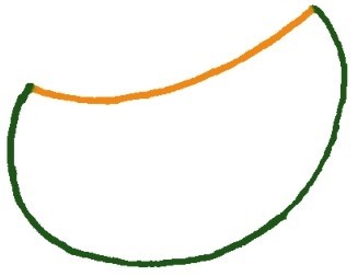 哈密瓜简笔画