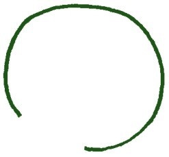 石榴简笔画