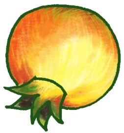 石榴简笔画