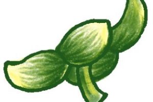 山竹简笔画