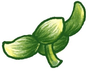山竹简笔画