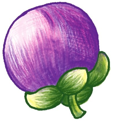山竹简笔画