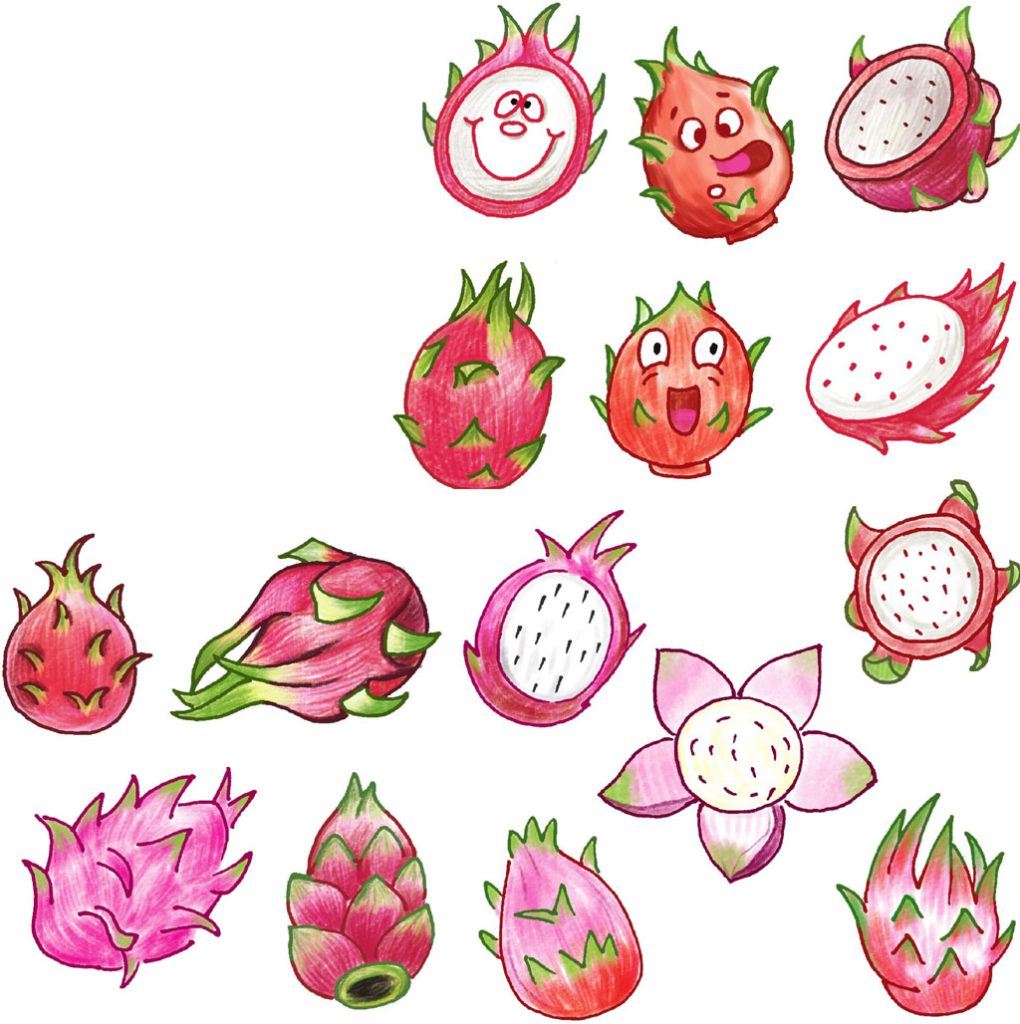 火龙果简笔画
