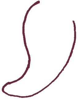 尖椒简笔画