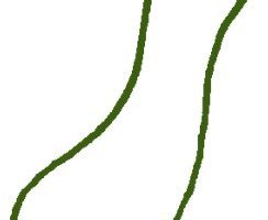 黄瓜简笔画