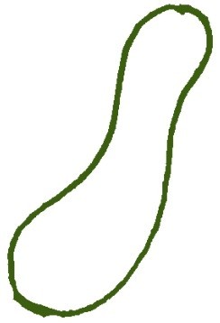 黄瓜简笔画