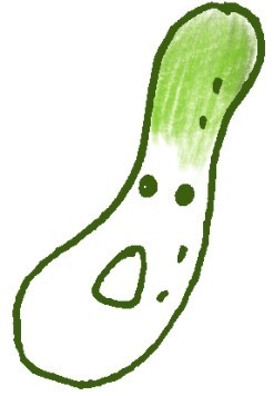 黄瓜简笔画