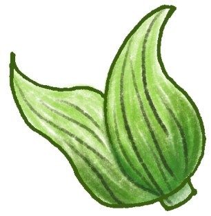玉米简笔画