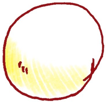 西红柿简笔画